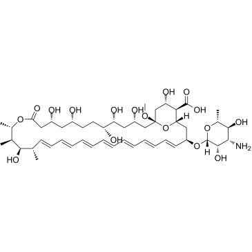 Amphotericin X1