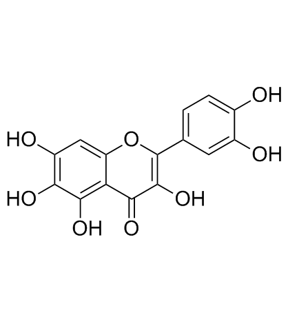 槲皮万寿菊素