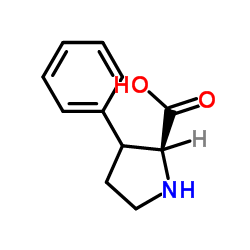 3-苯基-L-脯氨酸