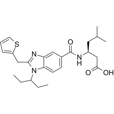 CMF019