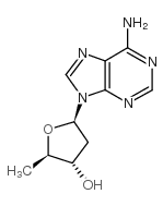 2',5'-脱氧腺苷