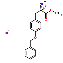 O-苄基-L-酪氨酸甲酯盐酸盐