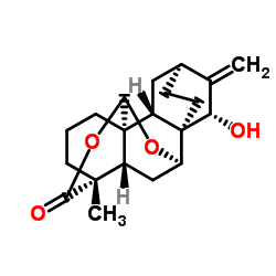 绣线菊内醋 B