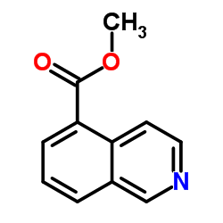 5-异喹啉甲酸甲酯