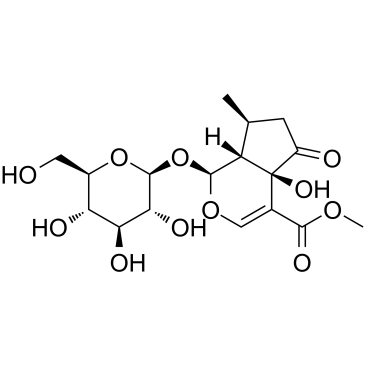 5-羟基马鞭草苷