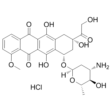 盐酸表柔比星