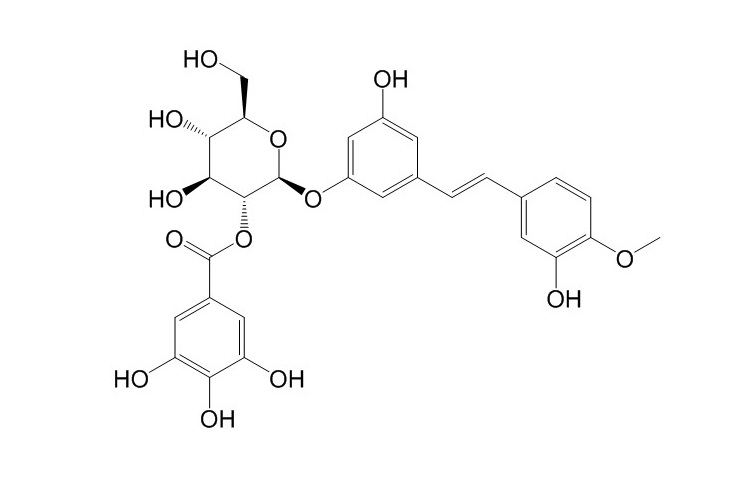 Rhaponticin 2′′-O-gallate