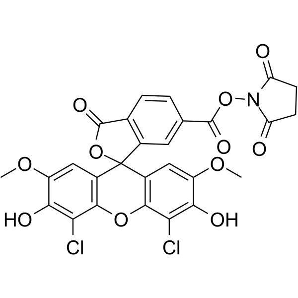 6-羧基-4,5-二氯-2,7-二甲氧基荧光素琥珀酰亚胺酯