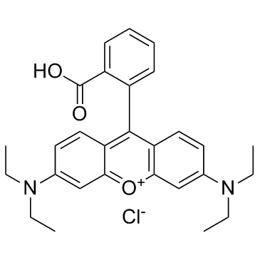 罗丹明 B