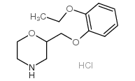 2-[(2-乙氧基苯氧基)甲基]吗啉盐酸盐