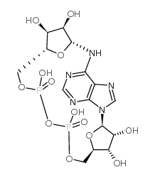 环状ADP核糖