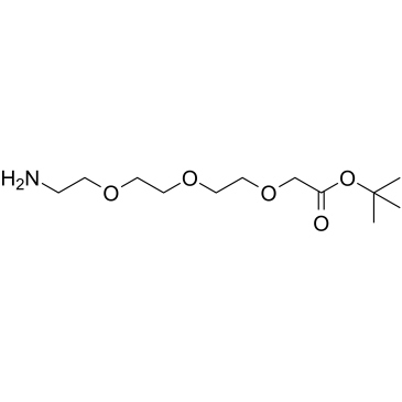 2-(2-(2-(2-氨基乙氧基)乙氧基)乙氧基)乙酸叔丁酯