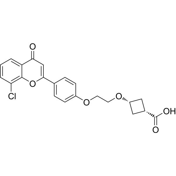 cis-ccc_R08