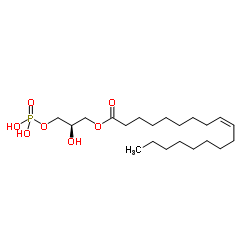 1-Oleoyl lysophosphatidic acid