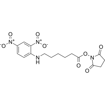 6-(2,4-二硝基苯胺基)己酸 N-琥珀酰亚氨基酯