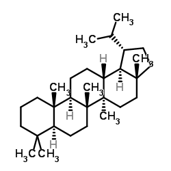 羽扇豆鹼