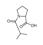 L-1-异丁酰基脯氨酸