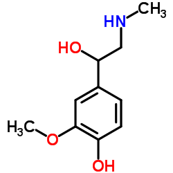 间甲肾上腺素