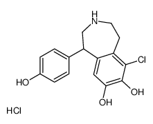 非诺多泮盐酸盐