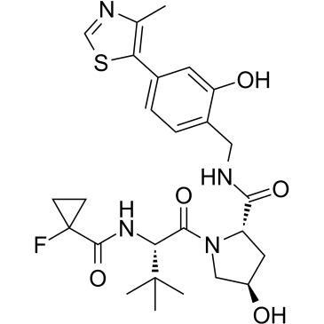 E3 ligase Ligand 19