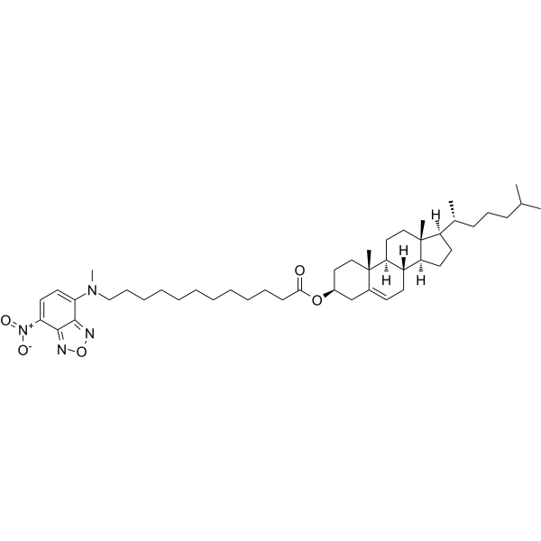 3-NBD-C12 Cholesterol