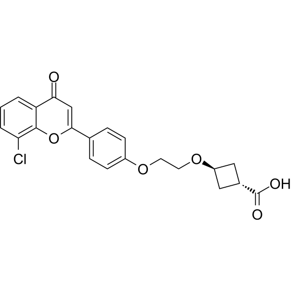 trans-ccc_R08