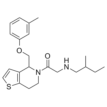 RU-SKI 43