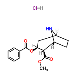 去甲可卡因 盐酸盐 溶液