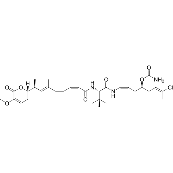 PM050489