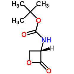 (S)-α-Boc-氨基-β-丙内酯