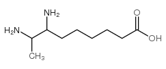 7,8-氨基壬酸