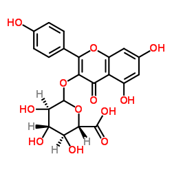 山奈酚葡萄糖醛酸苷