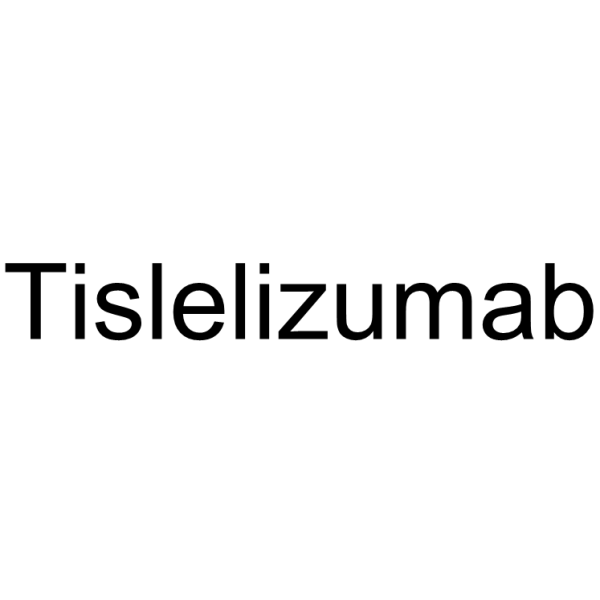 Tislelizumab