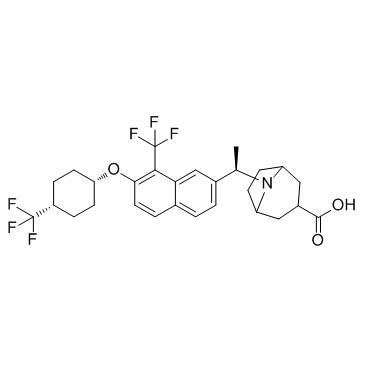 自分泌运动因子调节剂1