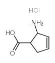 顺式-2-氨基-3-环戊烯-1-羧酸 盐酸盐