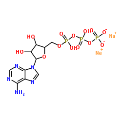 5'-三磷酸腺苷二钠盐 三水合物