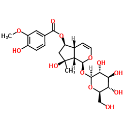 6-O-香草酰基筋骨草醇