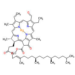 叶绿素B