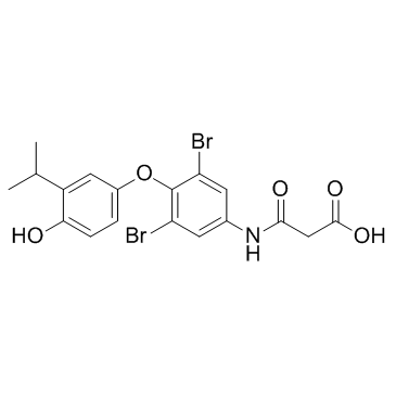 伊罗替罗