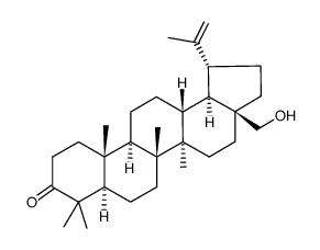 3-Oxobetulin