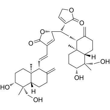 双穿心莲内酯 C