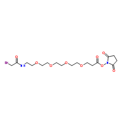 Bromoacetamido-PEG4-NHS ester