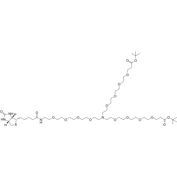 N-(Biotin-PEG4)-N-bis(PEG4-Boc)