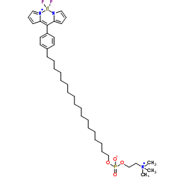 CLR1501