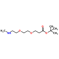 Methylamino-PEG2-Boc