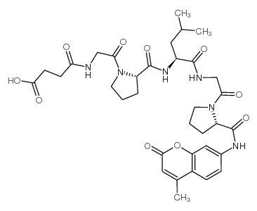 Suc-Gly-Pro-Leu-Gly-Pro-AMC