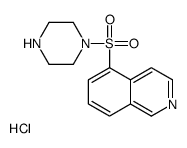 1-(5-异喹啉磺酰基)哌嗪盐酸盐