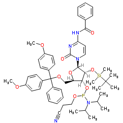 Bz-rC 亚磷酰胺单体