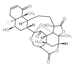 酸浆苦味H