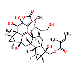 ChloraMultilide D